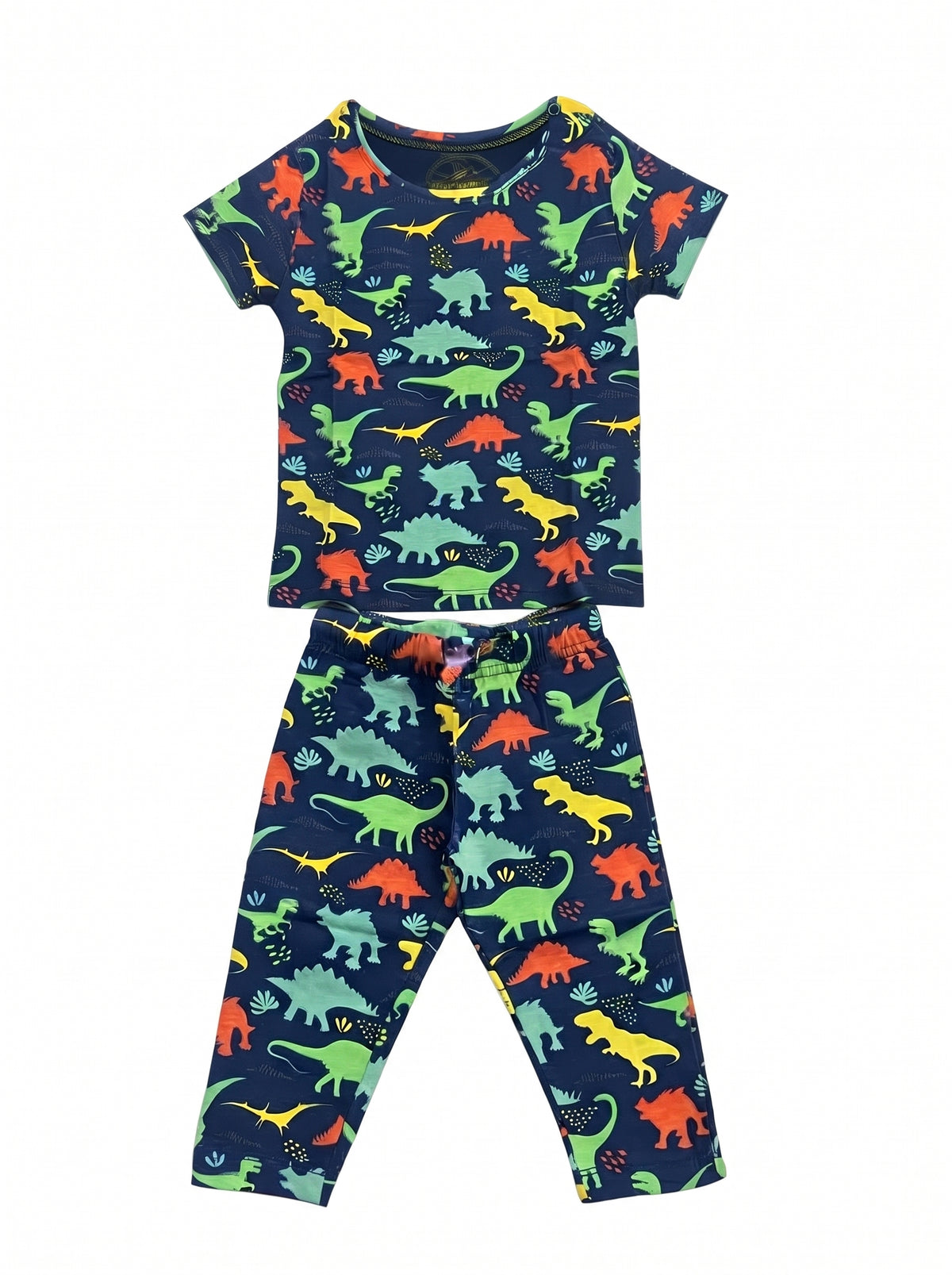 Baby Navy Dinosaur T-Shirt and Pants Set